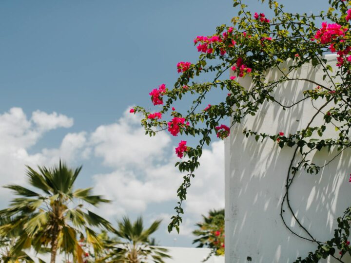 Giardini Botanici
